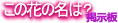 この花の名は？掲示板 